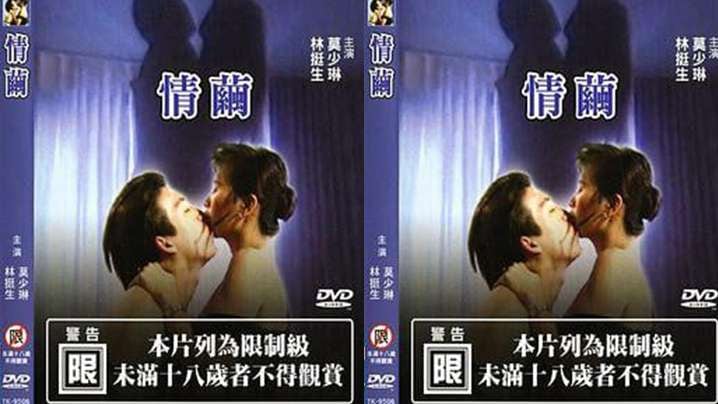【台湾】情茧(1997)